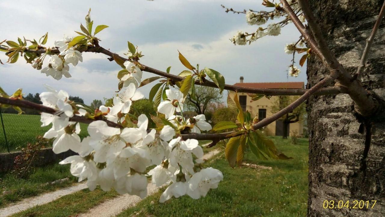 B&B Fior Fiore 스펠로 외부 사진